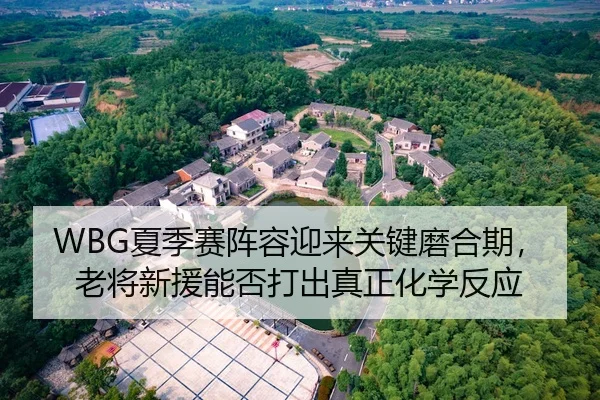 WBG夏季赛阵容迎来关键磨合期，老将新援能否打出真正化学反应